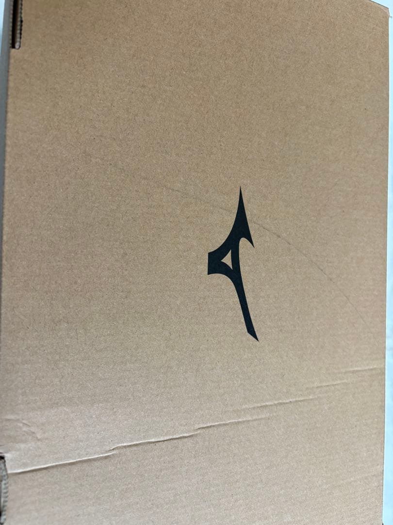 ミズノ 安全靴 28cm 限定カラー