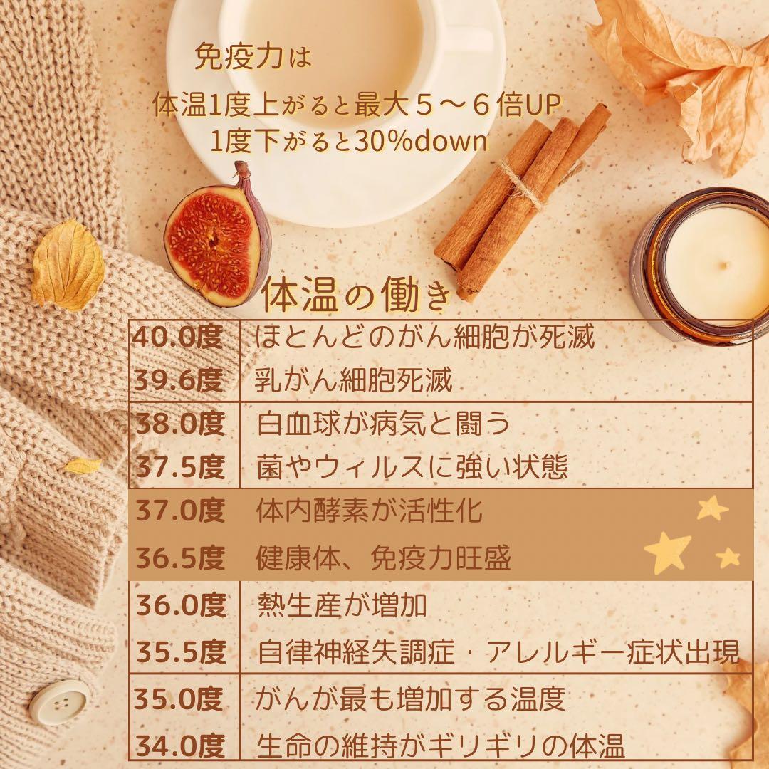 米ぬか玄米カイロ温活(795)肩こりさん用アートフラワーよもぎorローズマリー