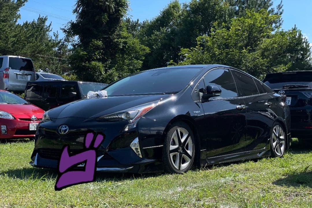 50プリウス　ダウンサス　sbスタイル