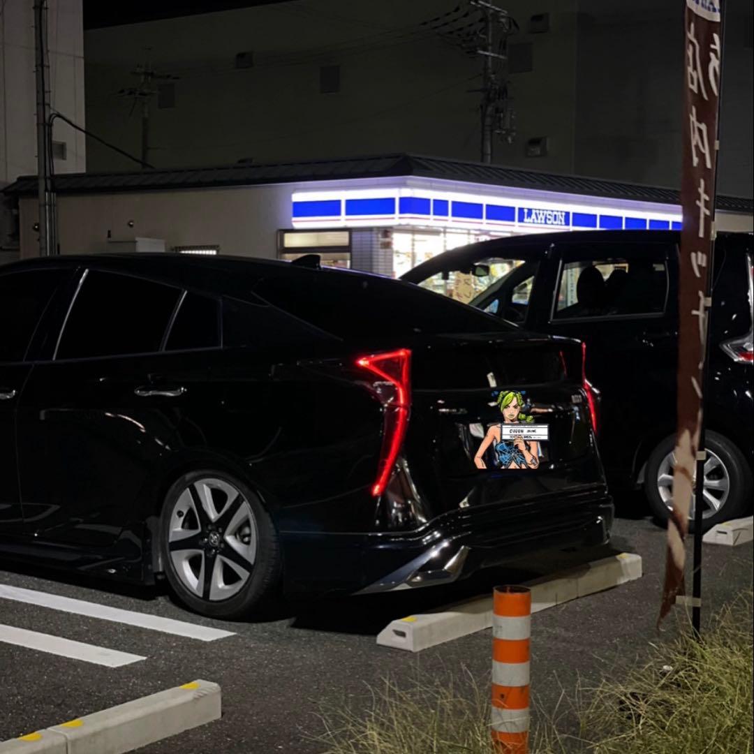 50プリウス　ダウンサス　sbスタイル