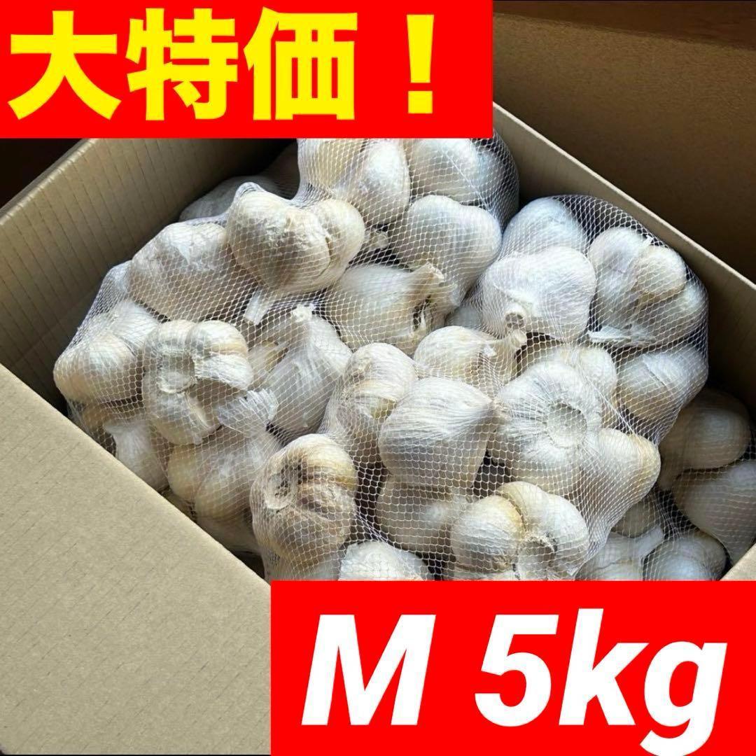 【大特価】青森県 福地ホワイト にんにく M 5kg 加工 種にんにく