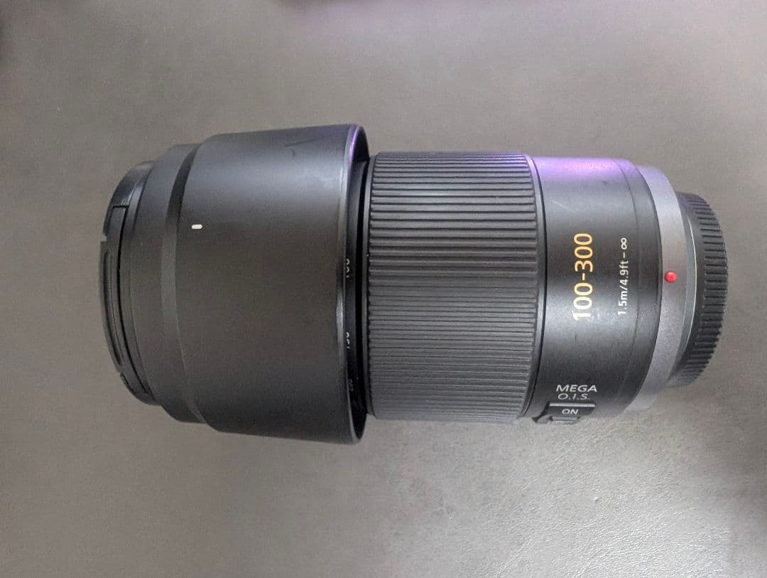 レンズ(ズーム) LUMIX G VARIO 100-300mm/F4.0-5.6