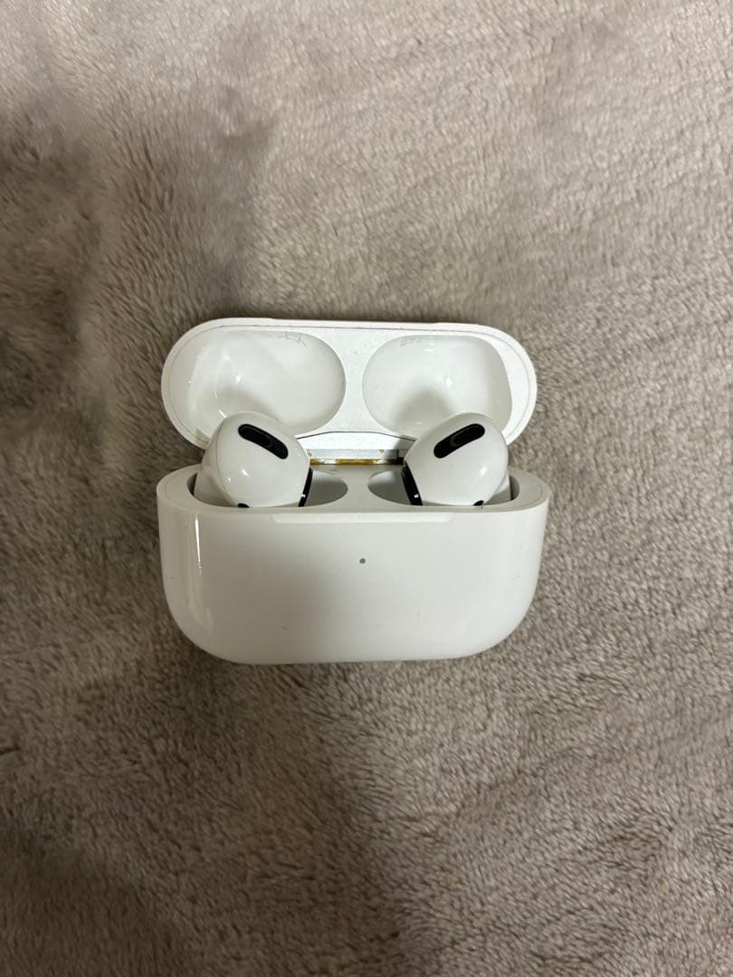 AirPods Pro 第2世代 本体のみ｜動作確認済み｜ノイズあり｜