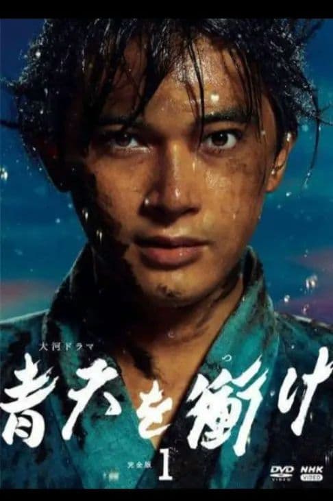 大河ドラマ　青天を衝け　12巻セットコンプリートDVD