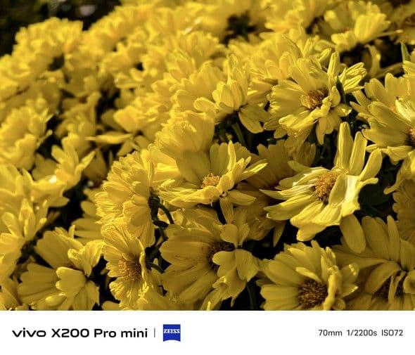 スマートフォン本体 vivo x200 pro mini 12GB/256GB