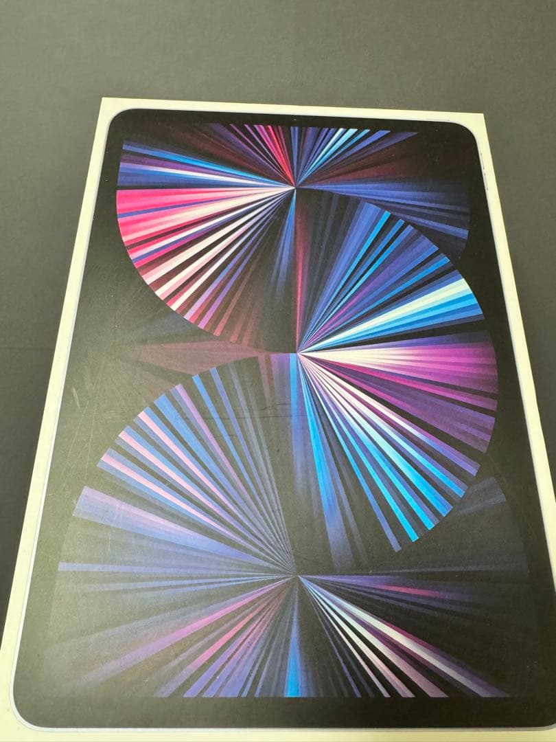 Apple iPad Pro M1シルバー 美品、本体