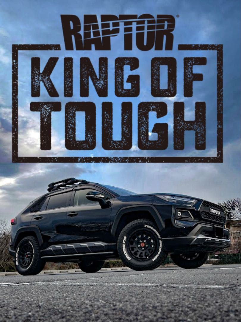 rav4 ドアプロテクター　ラプターライナー塗装　新品未使用