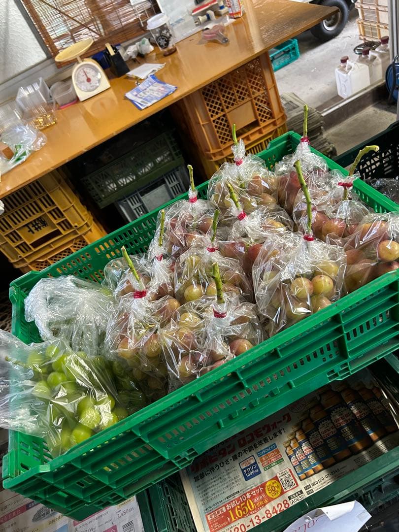 タイムセール！山梨県限定 赤いシャインマスカット！？ 1コンテナ　10房以上