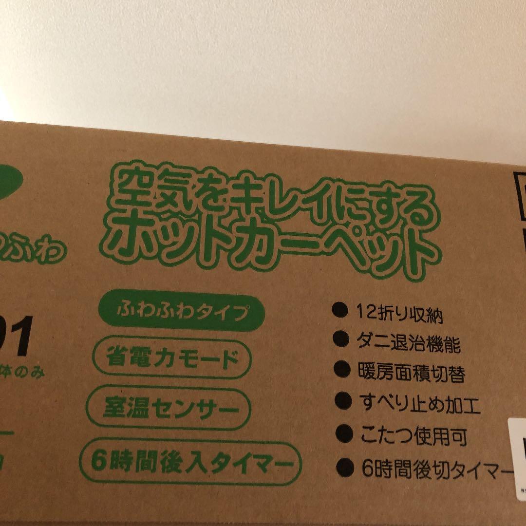 空気をきれいにするホットカーペット２畳