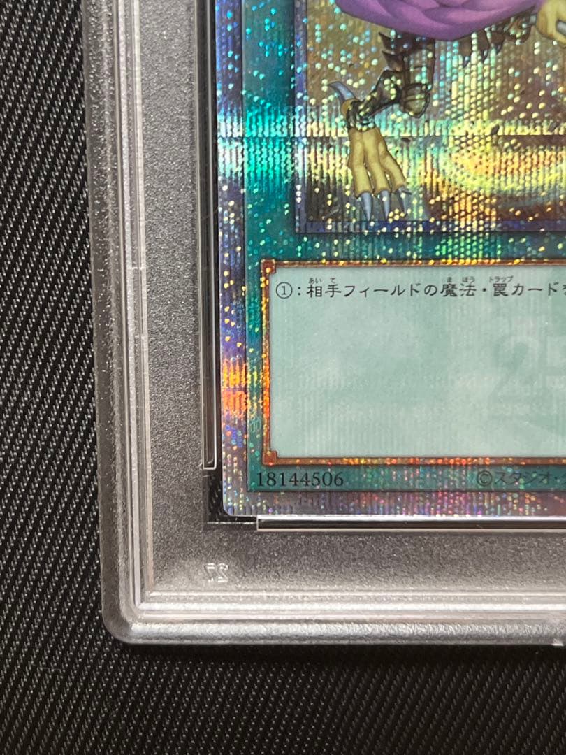 遊戯王　ハーピィの羽根箒　25thシークレットレア 絵違い　PSA10