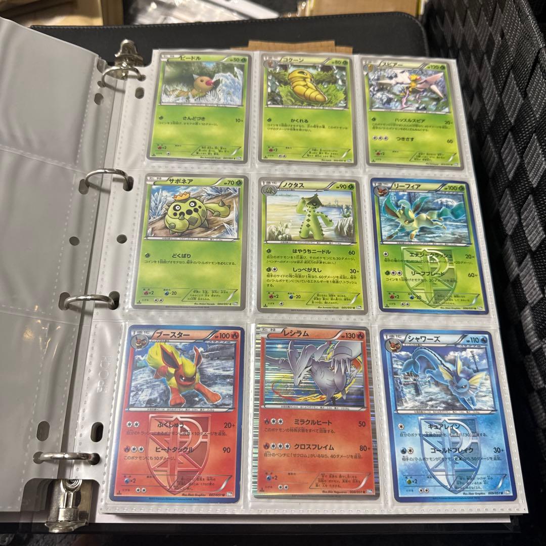 ポケモンカード BW8 ライデンナックル アララギ博士 sr 他