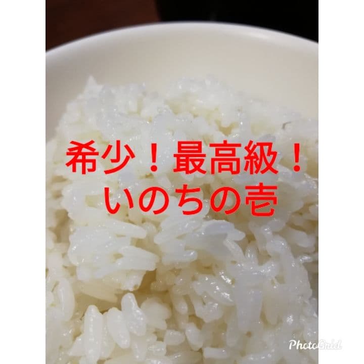 エガ！いのちの壱玄米15キロ送料込み！