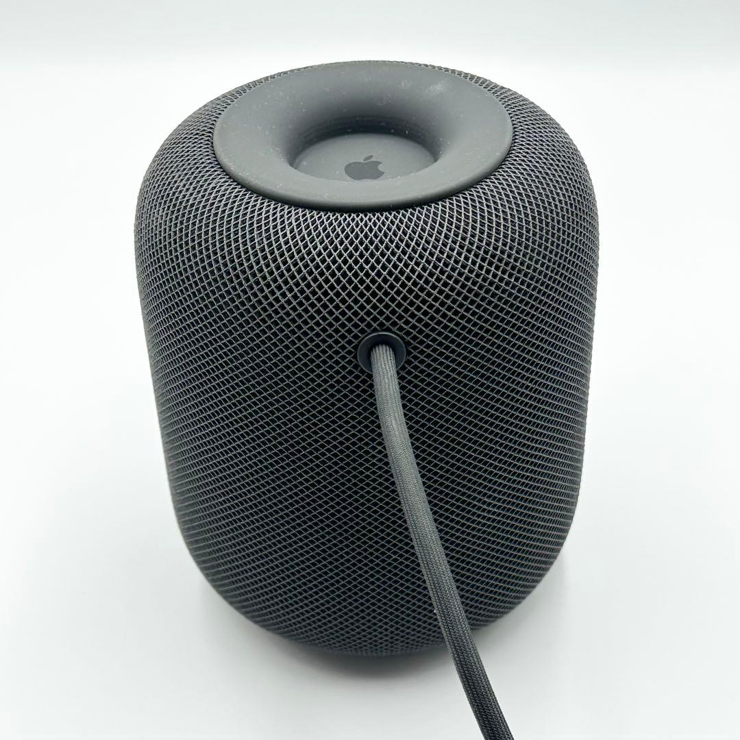 Apple  Pod 第1世代 MQHW2J/A A1639