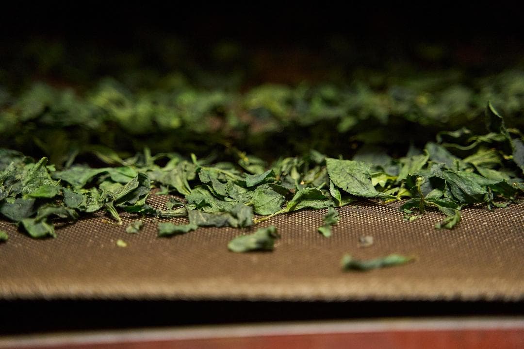 【業務用1kg】京都和束町産のオーガニック抹茶缶（シングルオリジン）