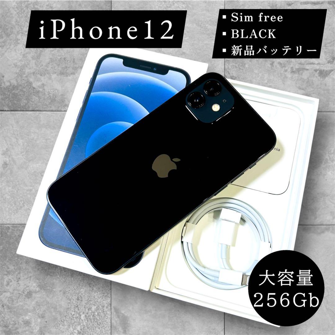 【大容量】iPhone12 本体 256GB SIMフリー 新品バッテリー100