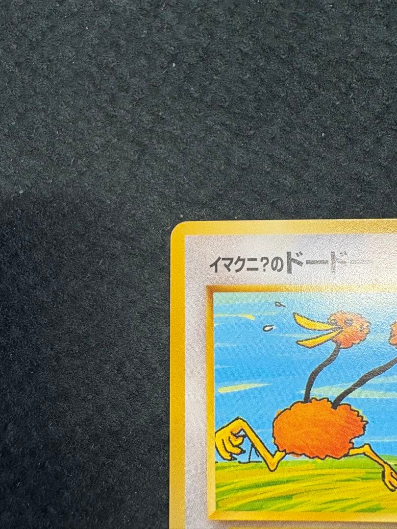 【良品◯】ポケモンカード　旧裏　Pokéca イマクニ？のドードー