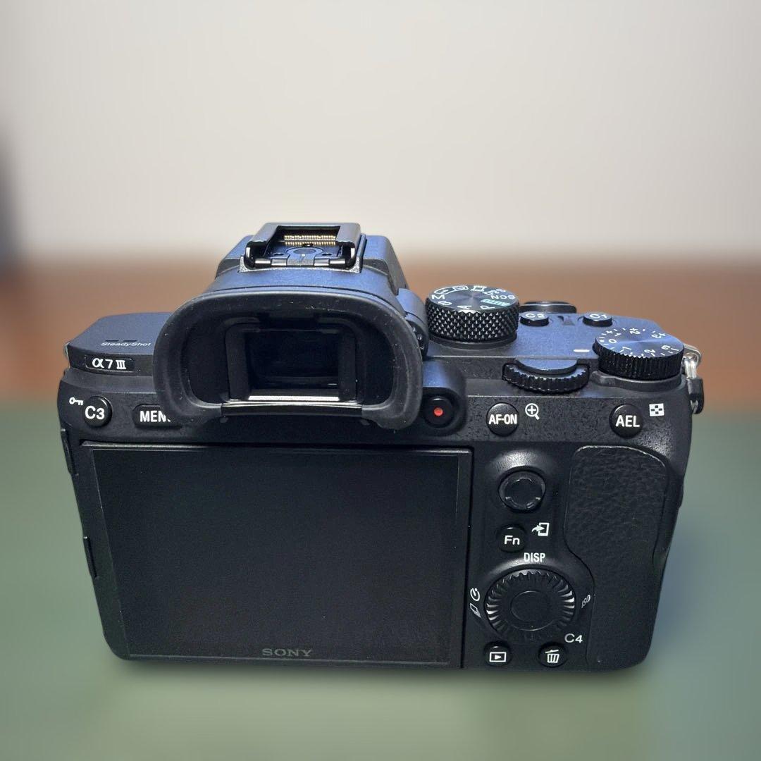 撮影枚数2854枚 SONY α7Ⅲ