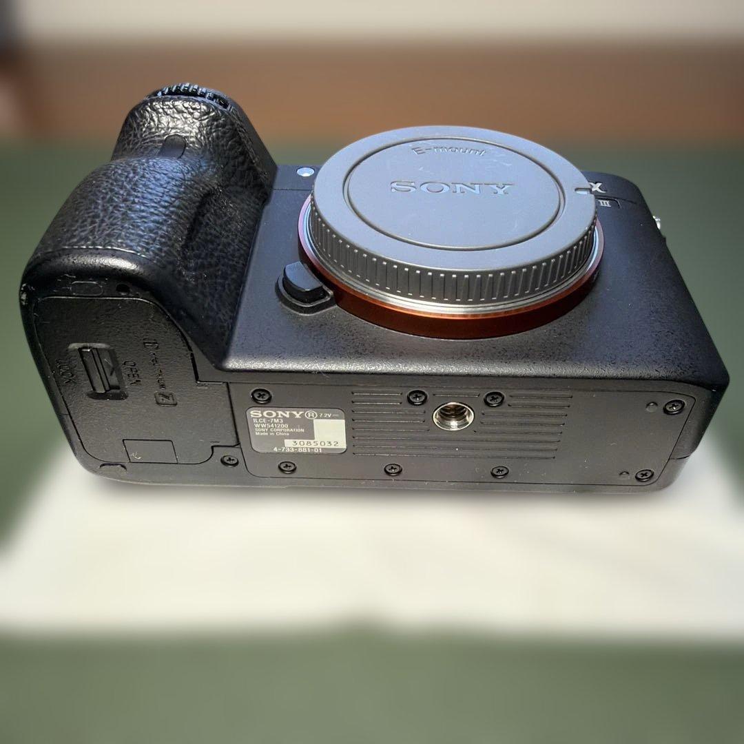 撮影枚数2854枚 SONY α7Ⅲ