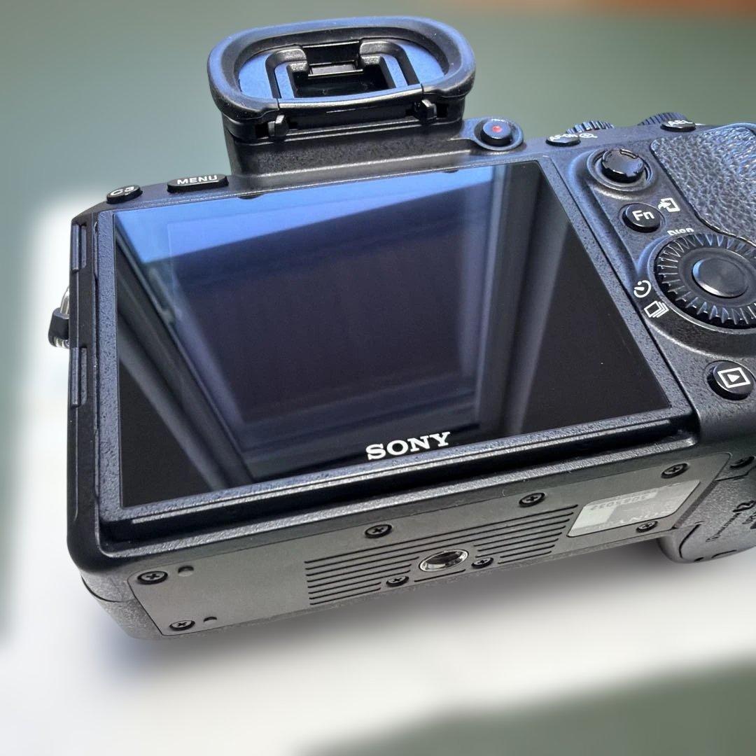 撮影枚数2854枚 SONY α7Ⅲ