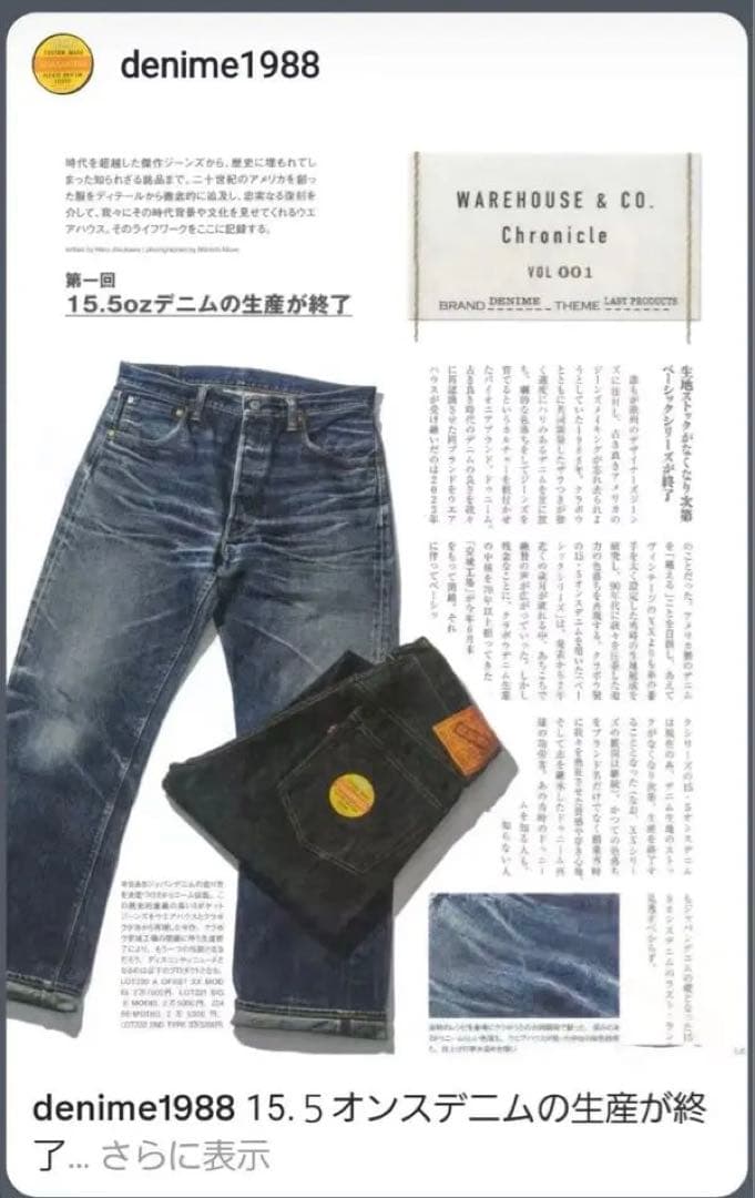 【期間限定出品】DENIME Lot.224-66 石川台セルビッチ W34㌅