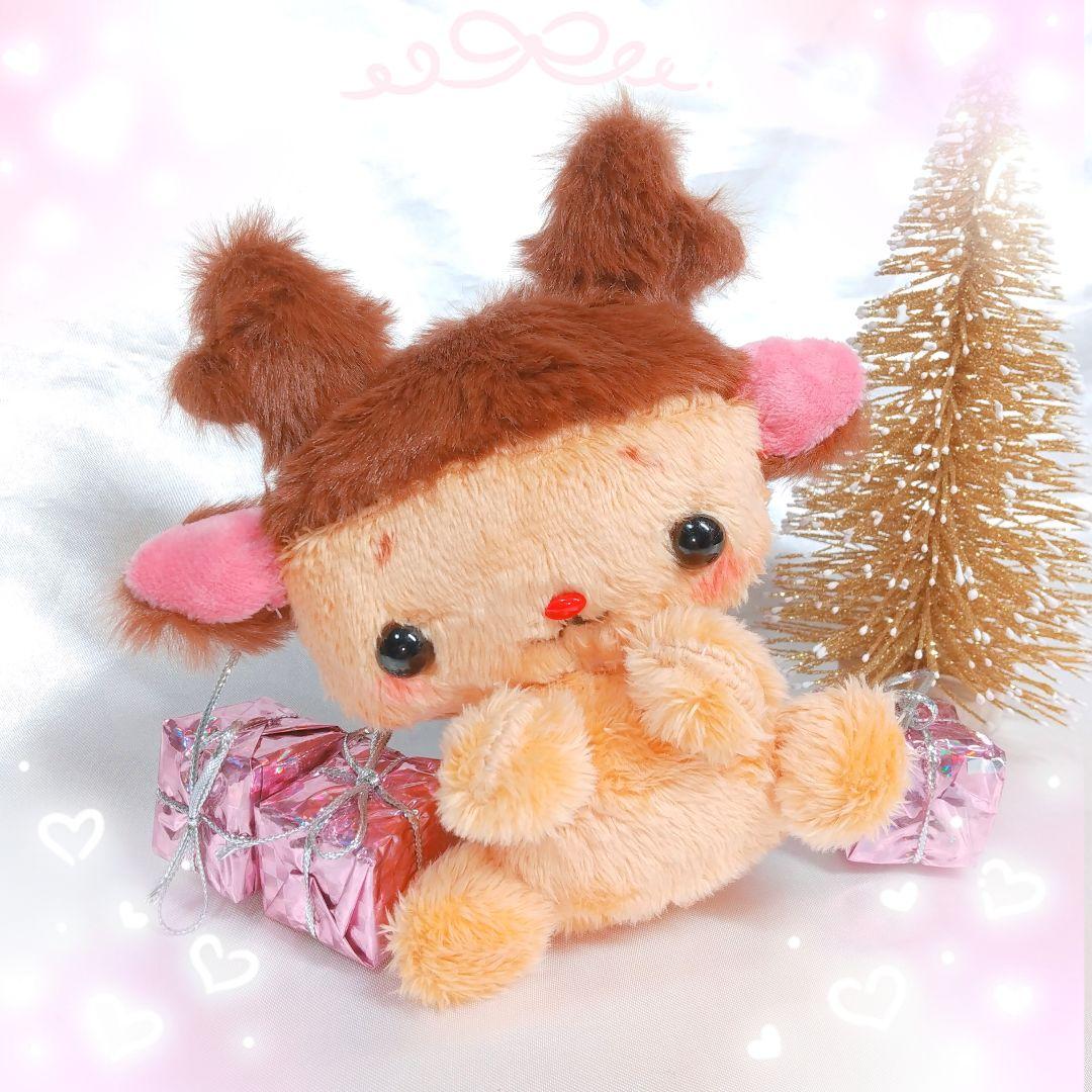 コリスマス 人懐っこい子.*・゜