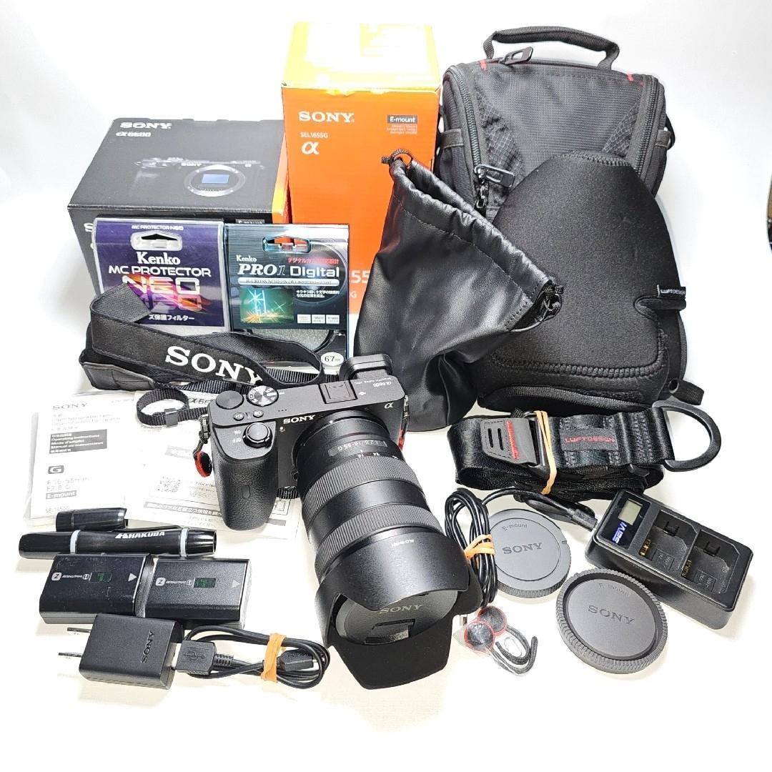 美品 SONY ILCE-6600 ɑ6600 + SEL1655G + おまけ