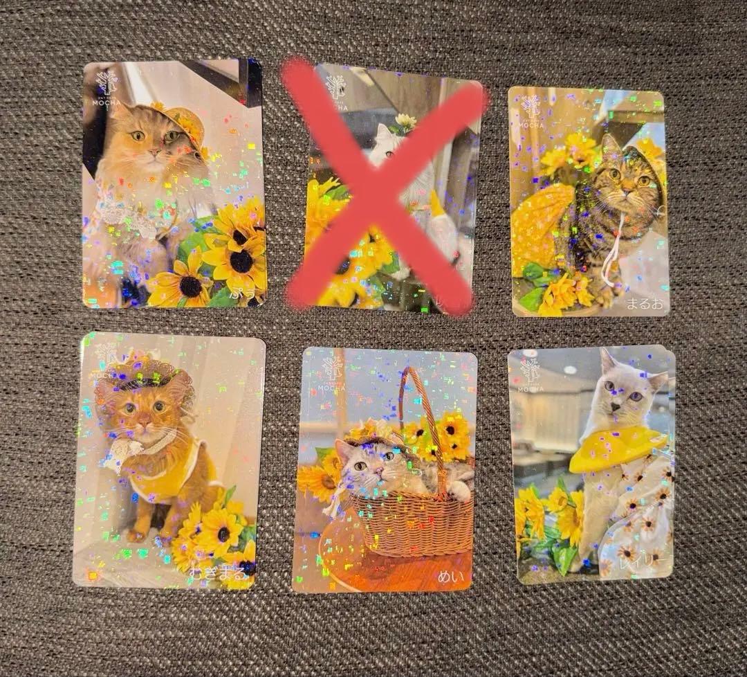 【バラ売り可】にゃんずトレカ立川店 2025