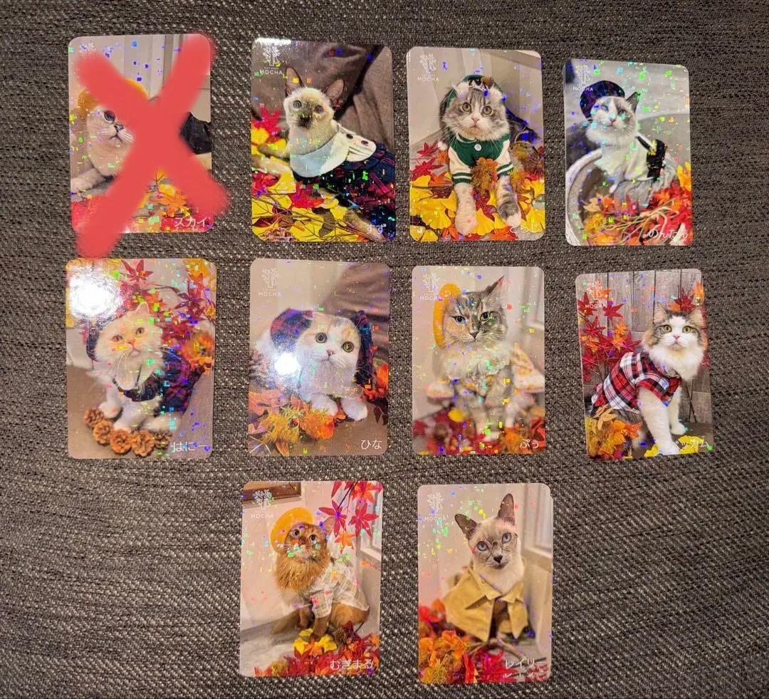 【バラ売り可】にゃんずトレカ立川店 2025