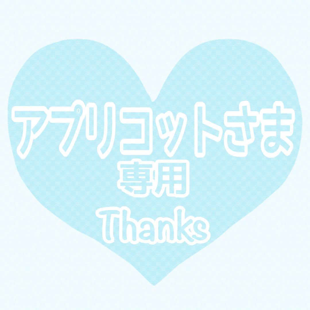 ♡アプリコットさま専用♡ トリミングチョーカー