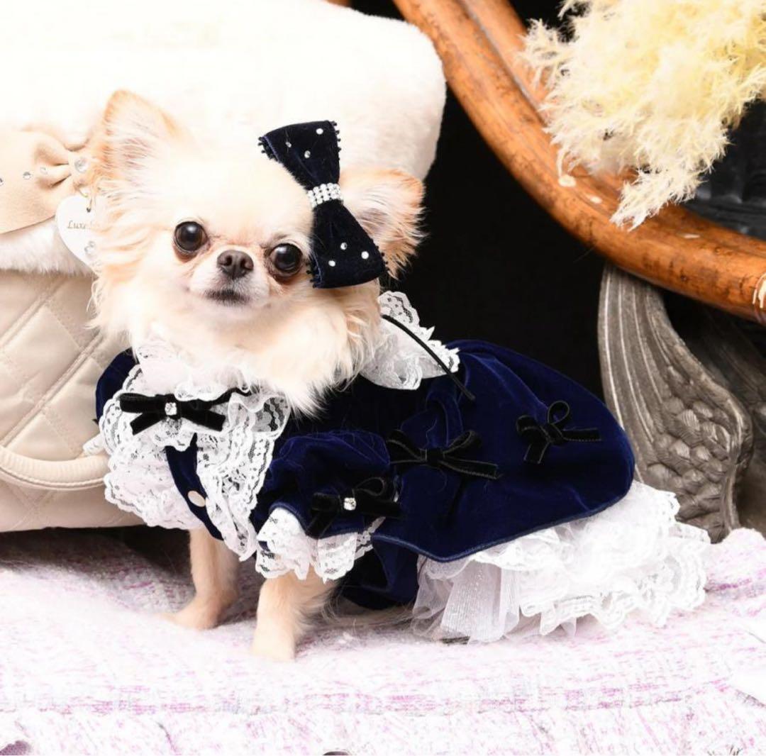 ふ*く様 新品　luxebirdie エリアスワンピース　ネイビー