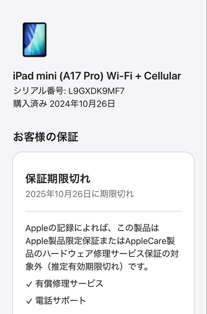 iPad本体 iPad mini A17 Pro Wi-Fi + Cellular 512GB