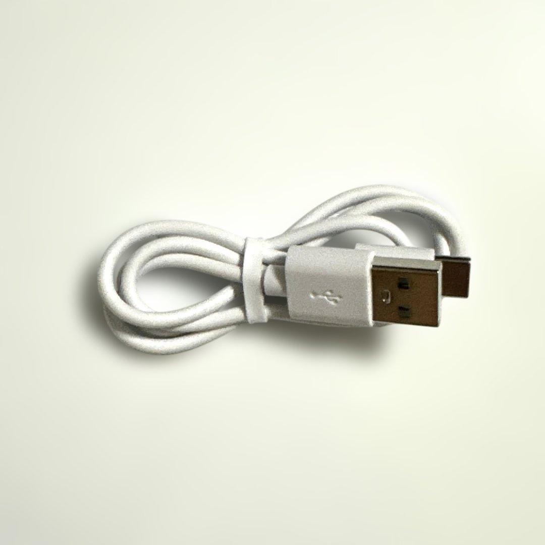 未使用 フェスティノ 充電式 EMS ヘッドスパ ミニ