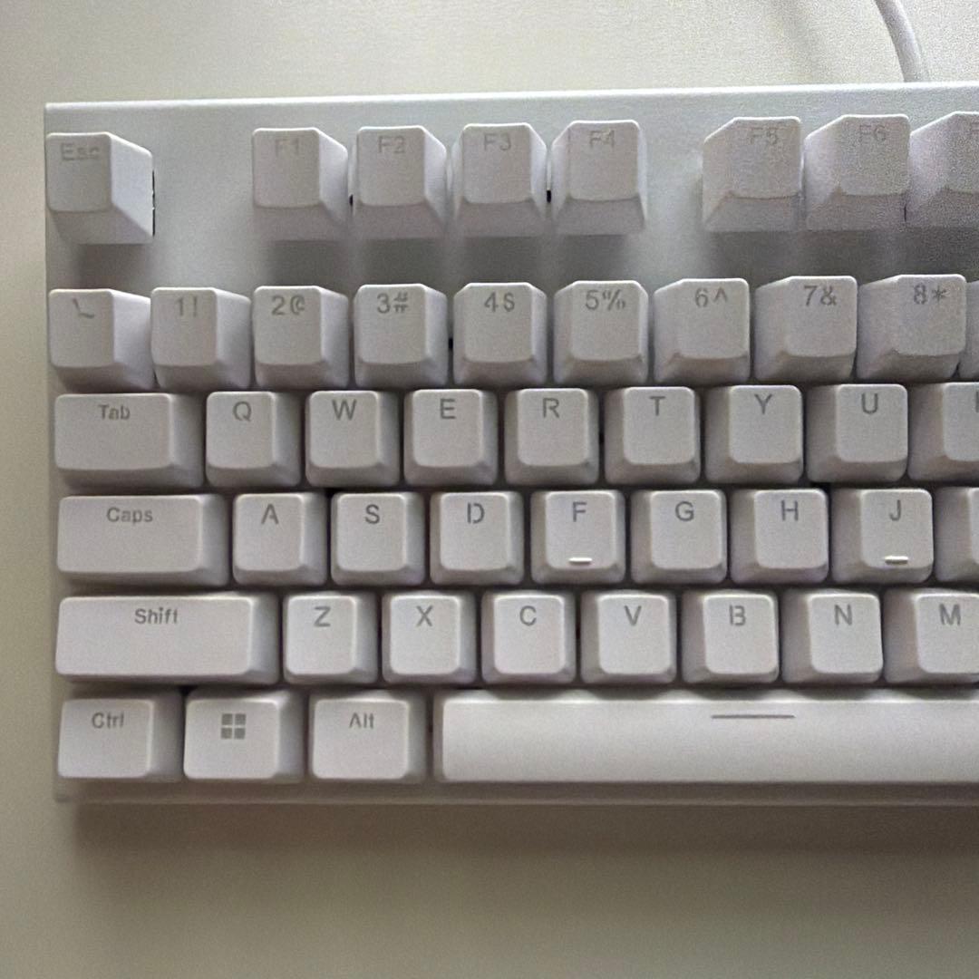 【ありす専用】REALFORCE GX1 45g 英語配列 ホワイト