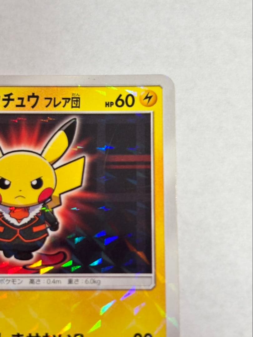 ボスごっこピカチュウ フレア団