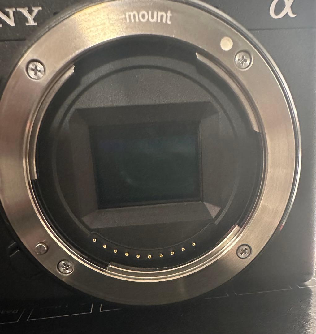 「408枚」 SONY α6400 + 16m m F1.4 SDカード2枚付