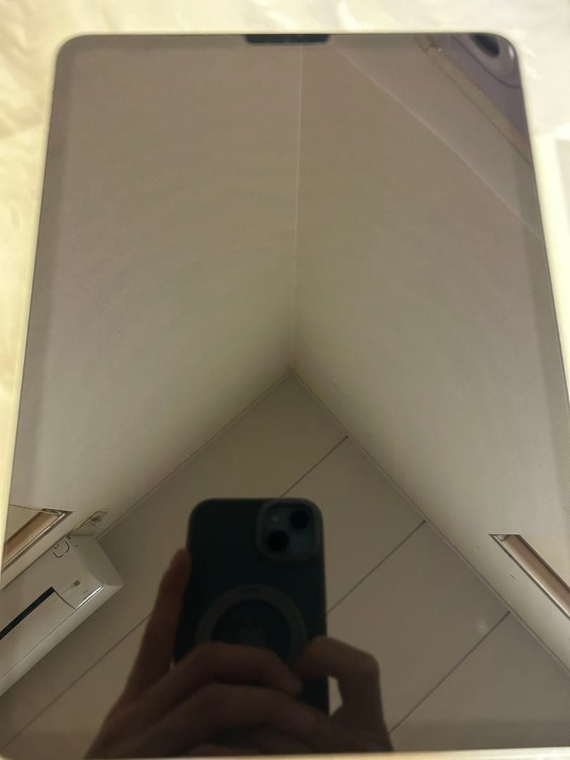 早い者勝ち　iPad Pro 第二世代 11inch 128gb