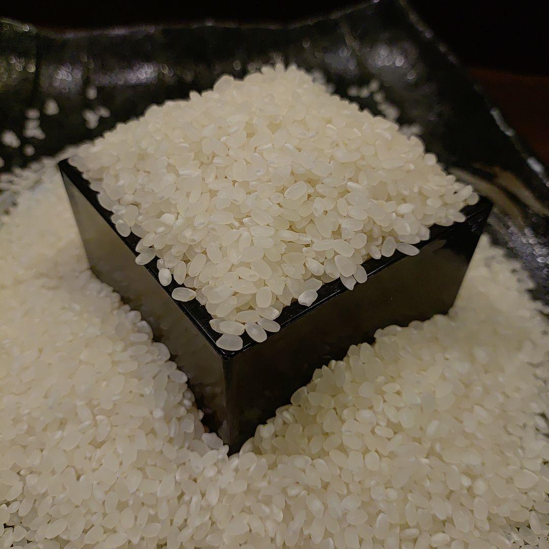 ヒノヒカリ 令和6年産 10kg 数量限定米