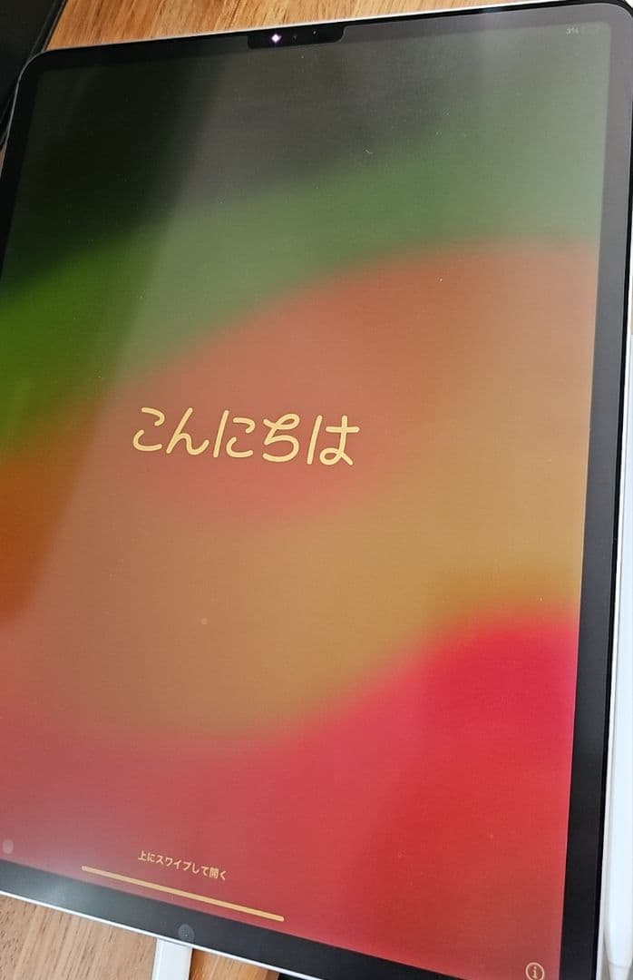 ※ジャンク※【iPad】 iPad Pro12.9インチ+ Pencil