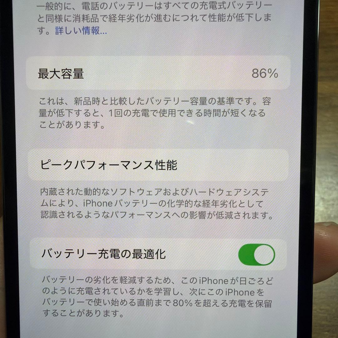 iPhone 13 Pro 1TB シエラブルー SIMフリー　86%
