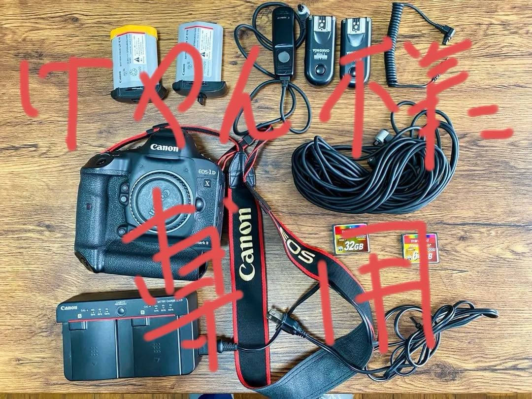 けやん　Canon EOS-1DX Mark II デジタル一眼レフカメラ