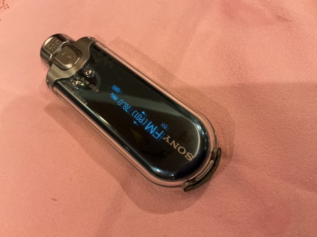 Sony NW-E505 動作確認済み ウォークマン