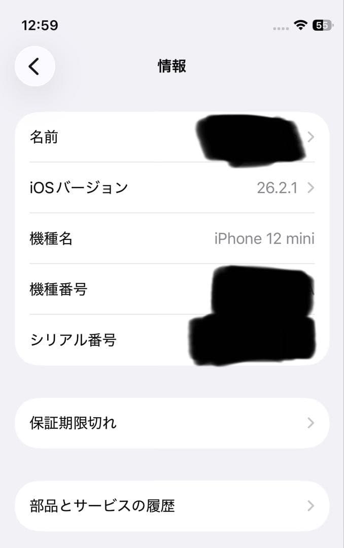 iPhone12 mini グリーン 256GB 海外版A2399 無音カメラ
