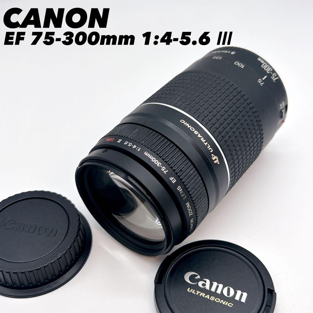 【美品】CANON 望遠レンズEF 75-300mm 1:4-5.6 Ⅲ