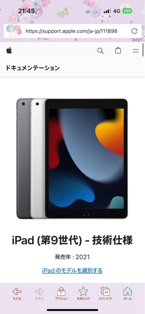 ipad 第九世代　シルバーグレー　美品