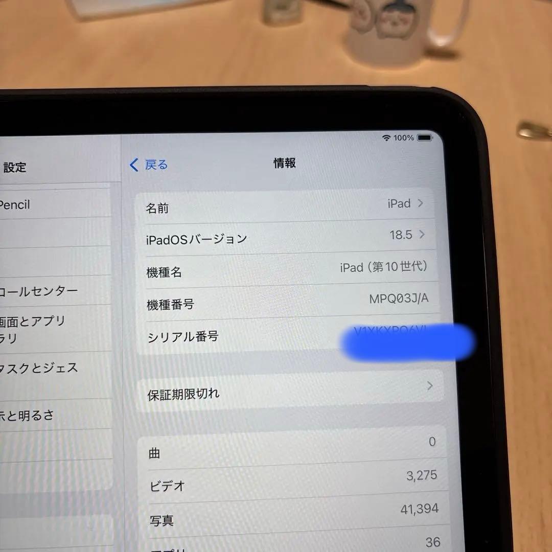 美品Apple iPad (第10世代)