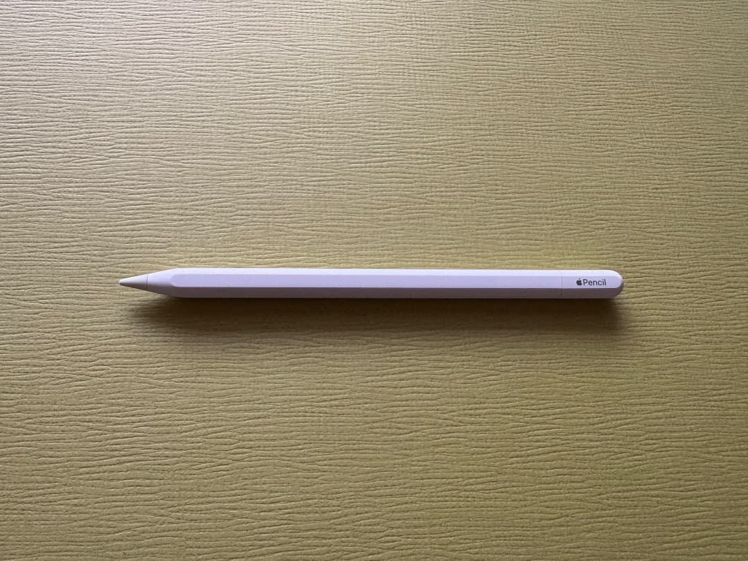 【美品】Apple Pencil (USB-C)【おまけ付】