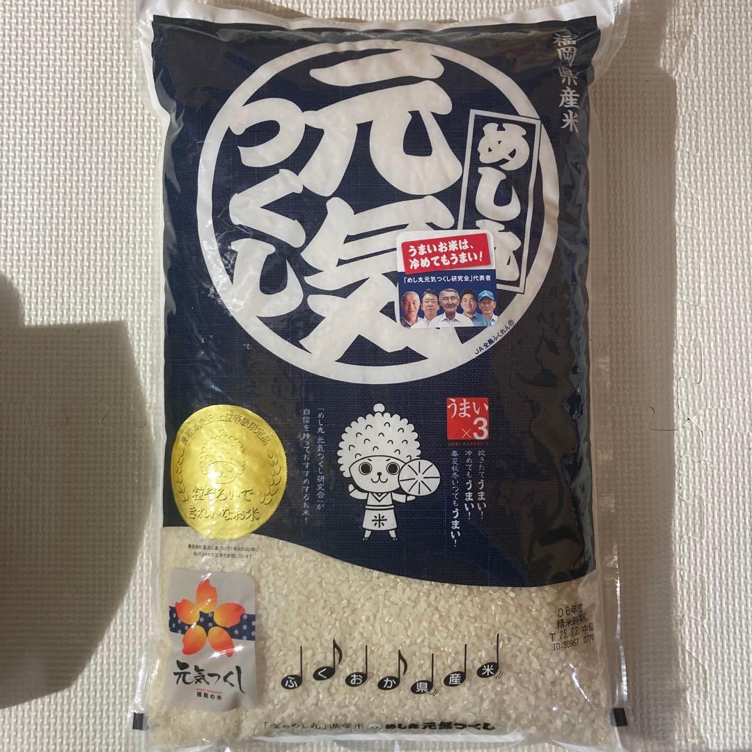 5kg 3袋セット　元気つくし　新米　お米　15kg