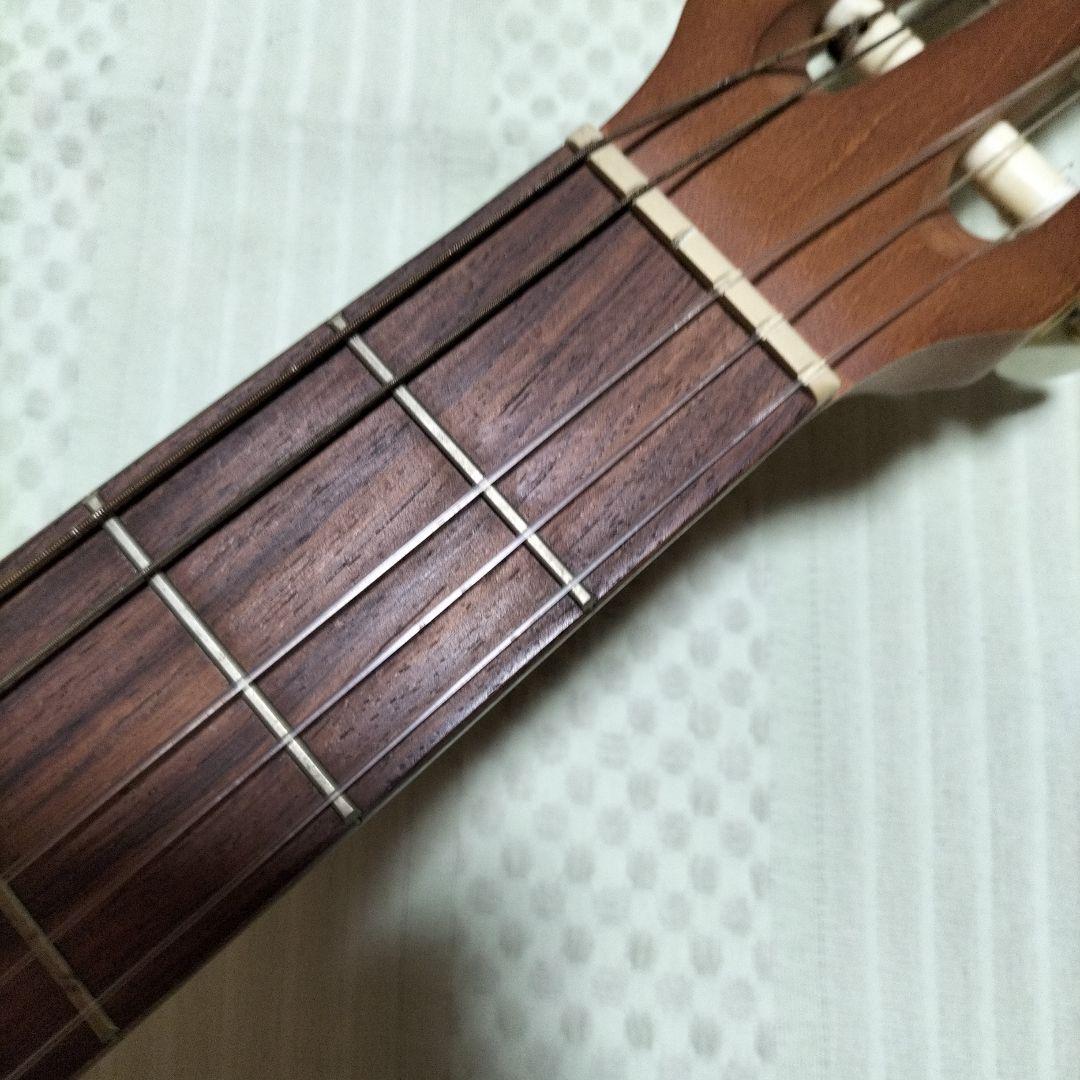Art & Lutherie　ア―ト&ルシア―　 AMI NYLON CEDAR
