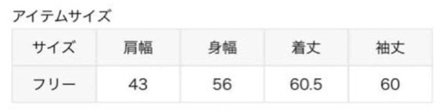 【REMI RELIEF】FLORIDA COLLEGE フーディー