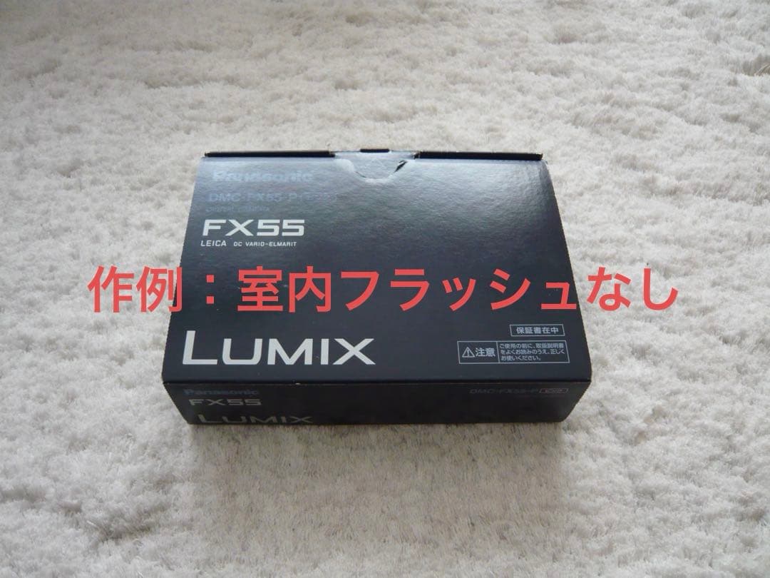 極上品【動作品】Panasonic パナソニック LUMIX DMC-FX55